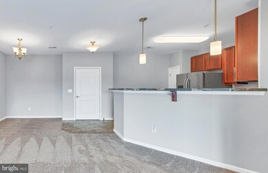 23510 F D R Blvd unit 205, California, MD 20619 - photo 5