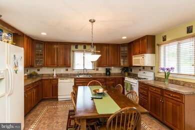 9000 Adelphi Rd, Adelphi, MD 20783 - photo 4