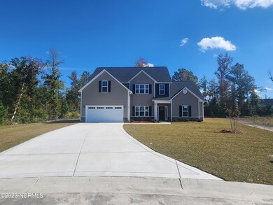 1022 Red Drum Way, New Bern, NC 28562 - photo 2