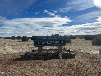 1000 S Ridgecreek Ln, Show Low, AZ 85901 - photo 3