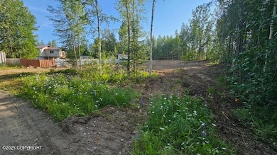 806 S Freeman Way, Big Lake, AK 99654 - photo 3