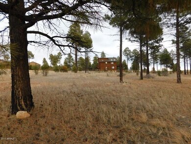 2741 Skyhawk Dr (3)