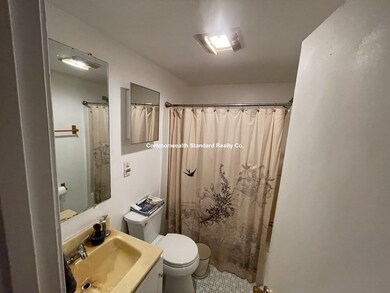 80 Lanark Rd unit 1, Brighton, MA 02135 - photo 4