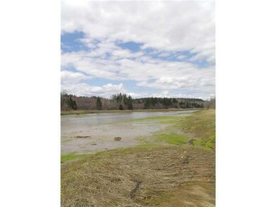 Land/Lot. looking upstream at low tide