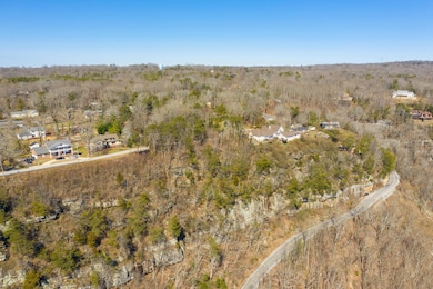 DJI_0267