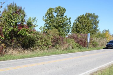 10040 Cline Ave, Winfield, IN 46307 - photo 6