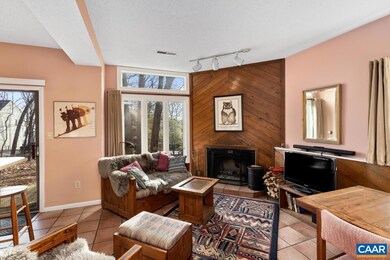 458 Three Ridges, Wintergreen Resort, VA 22967 - photo 6