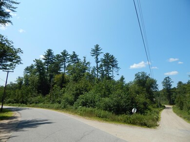 - Cramm Rd, Parsonsfield, ME 04047 - photo 3