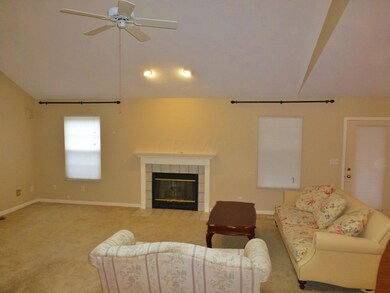 Vaulted great room