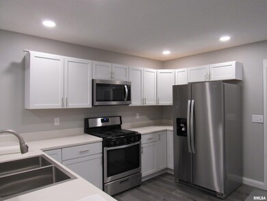 240 5th St E, Milan, IL 61264 - photo 4