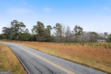 4176 State Line Rd, Menlo, GA 30731 - photo 4