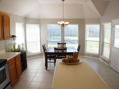 930 Satellite View, Round Rock, TX 78665 - photo 4