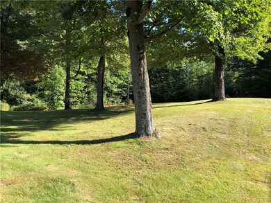 Back yard with mature shade trees.