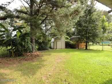 BACK  YARD