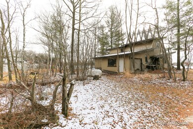 2721 Island Dr SW, Stanton, MI 48888 - photo 6