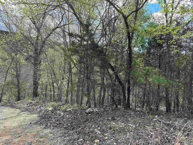 0 Off Dovewood Ln unit 22007754, Flippin, AR 72634 - photo 6