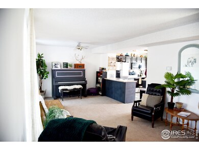 5302 E 108th Place, Thornton, CO 80233 - photo 4