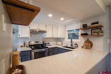 2155 W 3rd Ave unit 3, Durango, CO 81301 - photo 6