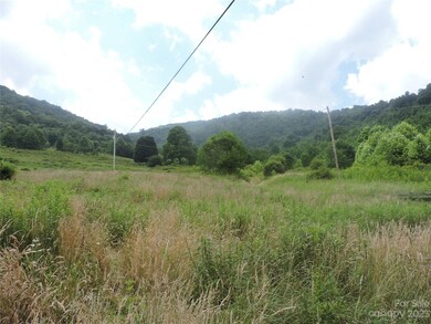 TBD Green Leaf Rd, Burnsville, NC 28714 - photo 2