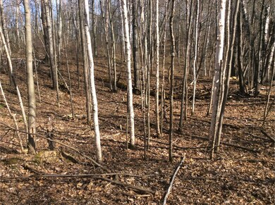 Delaware Trail, Breezy Point, MN 56472 - photo 7