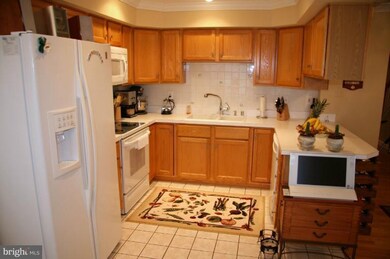 7906 Brightlight Place, Ellicott City, MD 21043 - photo 5