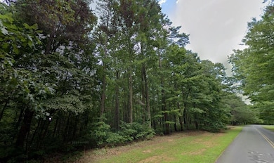 -- Doll Mountain Rd, Ellijay, GA 30540 - photo 5