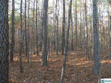 0 Stone Briar Dr unit 1 869140, Sylacauga, AL 35150 - photo 7