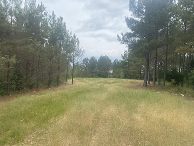 Big Opposum Creek Rd, Waynesboro, TN 38485 - photo 4