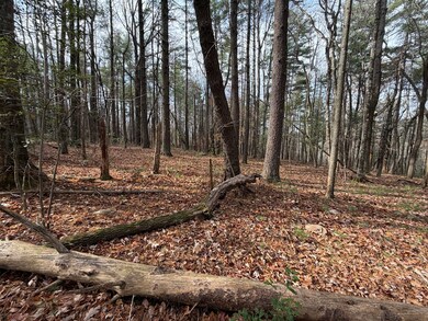 TBD Caution Tape Rd, Cana, VA 24317 - photo 4