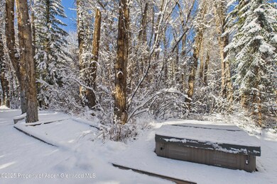645 Sneaky Ln, Aspen, CO 81611 - photo 6