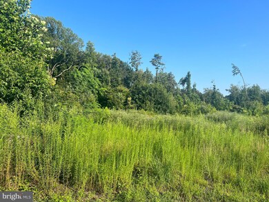 0 Willow Grove Rd, Camden, DE 19934 - photo 5