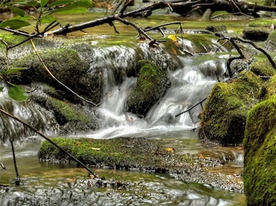 LOT 44 Synacia Dr, Mineral Bluff, GA 30559 - photo 3