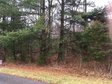 00 Dogwood Hills Rd, Fall Branch, TN 37656 - photo 3