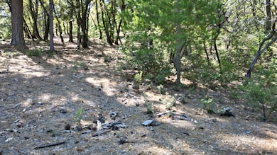 12258 Pine Cone Cir, Grass Valley, CA 95945 - photo 6