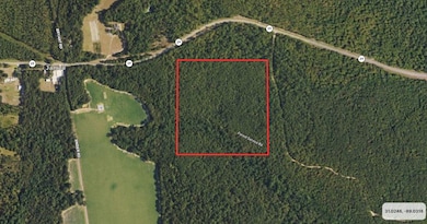 Tbd Hwy 29, Janice, MS 39425 - photo 5