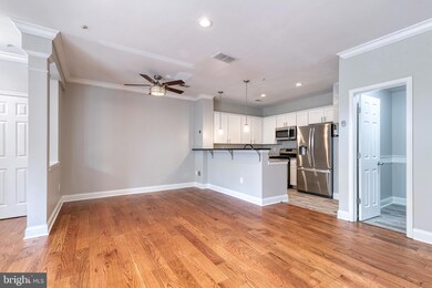 8716 Green Field Ct, Odenton, MD 21113 - photo 5