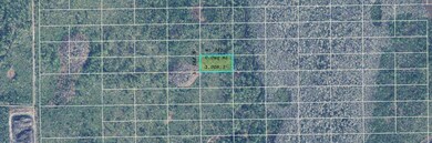 0 Dill Rd unit MFRO6234984, Orlando, FL 32820 - photo 3