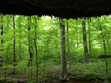 View from under rock overhang