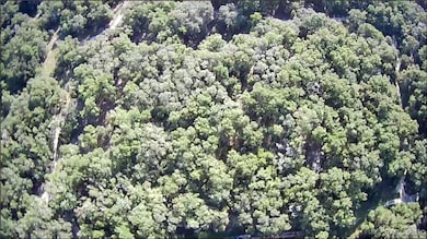 1105 Constitution Way, Inverness, FL 34453 - photo 2