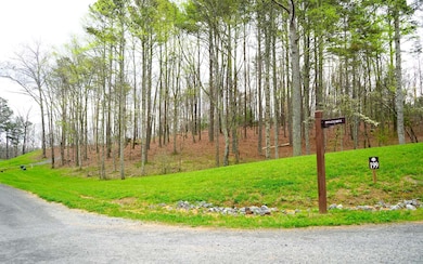 Additional View