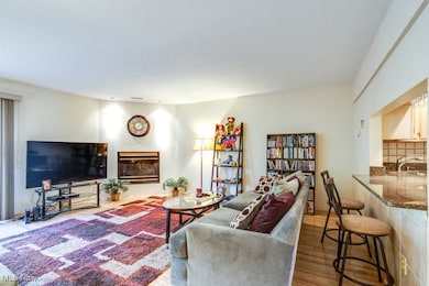 842 Arboretum Cir, Northfield, OH 44067 - photo 7