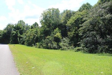 0 Higginbotham Rd unit RTC2433855, Mc Minnville, TN 37110 - photo 2