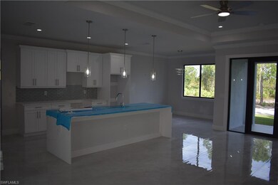 3837 64th Ave NE, Naples, FL 34120 - photo 4