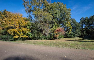 104 Lake Ridge Dr unit A83, Madison, MS 39110 - photo 7