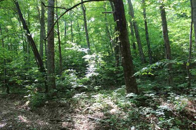 Lot 53 Red Bird Dr, Stanardsville, VA 22973 - photo 2