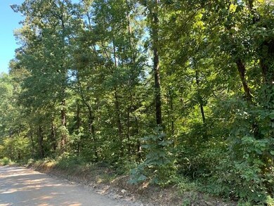 0 Lucian Sorrel Rd, Broken Bow, OK 74728 - photo 5