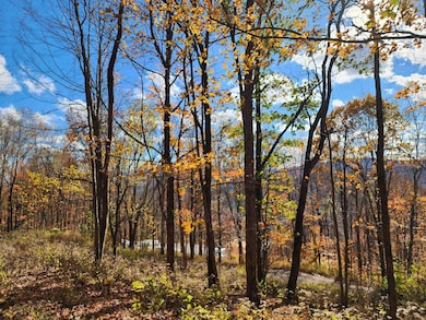 20 E Meadows Rd, Harman, WV 26270 - photo 4