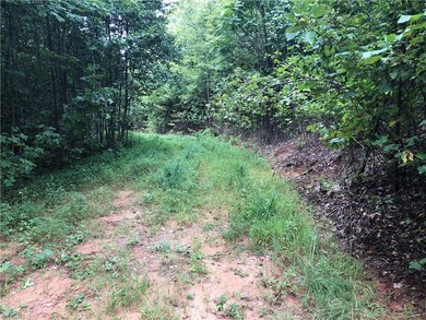 Lot 233 Deer Run, Purlear, NC 28665 - photo 7