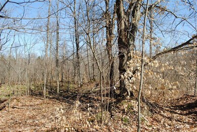 0 S 230th Ave, Lincoln Township, MI 49677 - photo 3