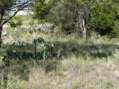 Lot 91 Indian Trail, Lake Brownwood, TX 76801 - photo 6